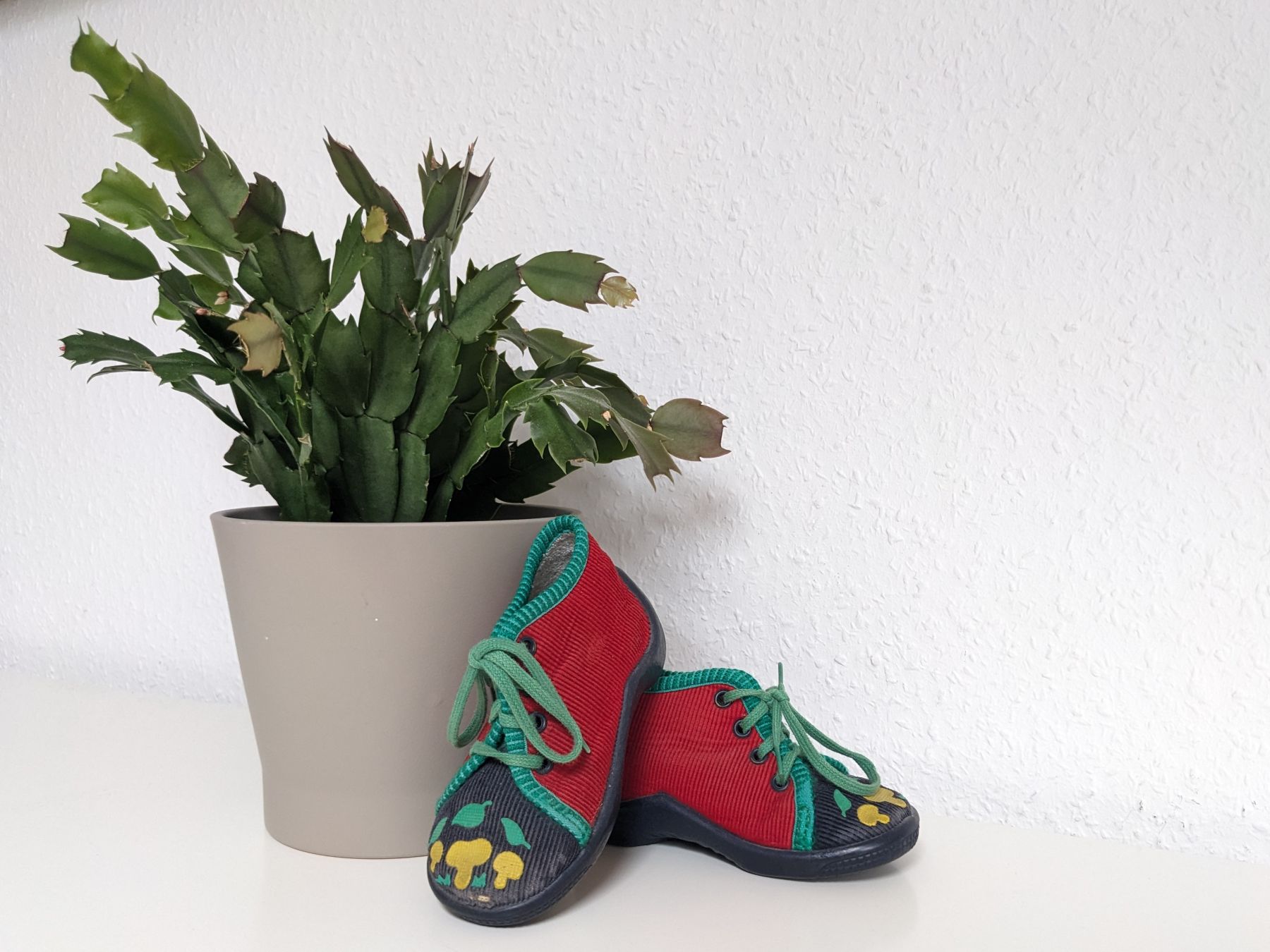 2025_07_06_Blog 13.jpg